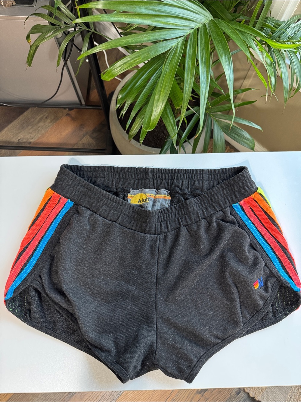 Aviator Nation Black Dolphin Shorts with Rainbow Side Stripes